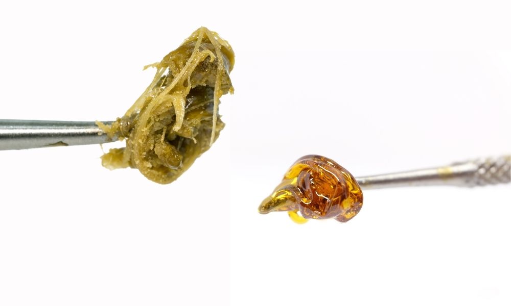 Rosin vs Resin Whats The Difference?