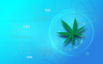 Cannabinoid Research Revelations