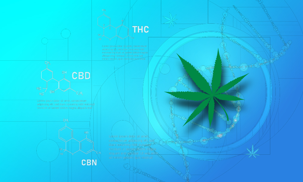 Cannabinoid Research Revelations